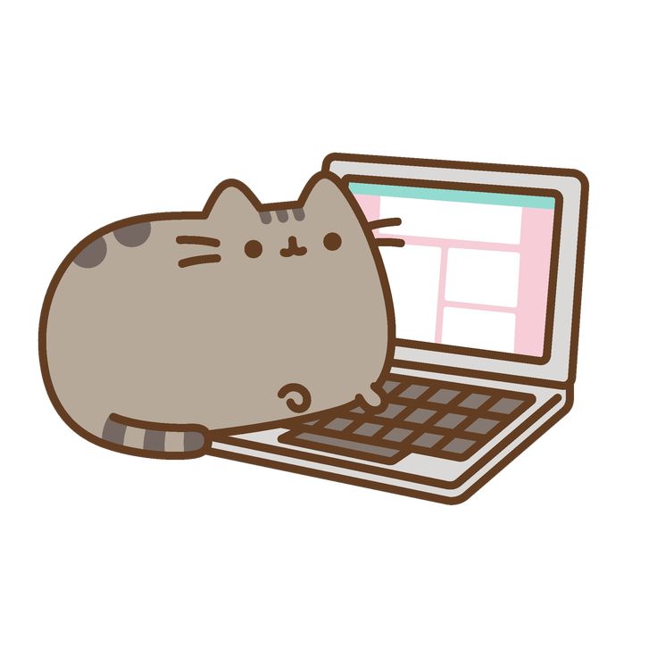 cat with notebook